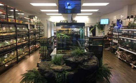 Exotic pet store tulsa ok. Things To Know About Exotic pet store tulsa ok. 